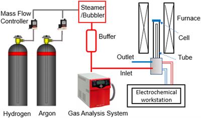 Evaluation of steam supply performance: Steamer vs. bubbler